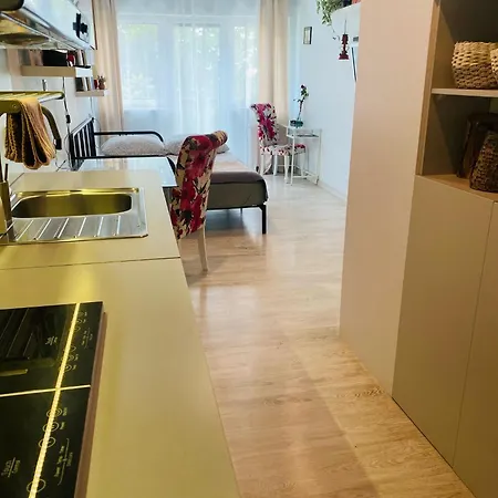 דירה Serafitek פוזנן